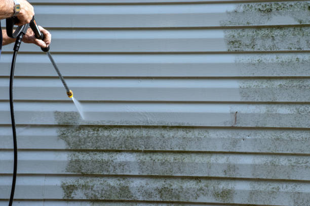 Trusted Ozona, TX Junk Removal Experts